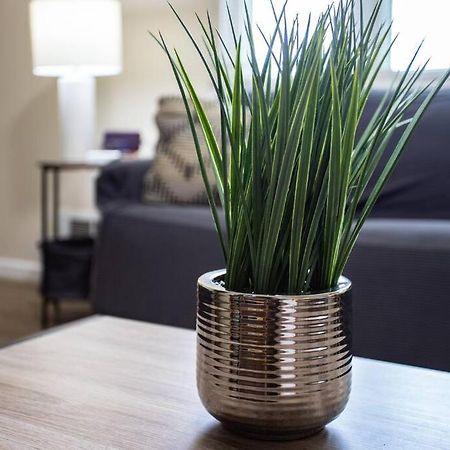 {Quiet Suburban Ranch Hot Tub} Mins Arpt/Rit/Dwnt Appartement Rochester Buitenkant foto