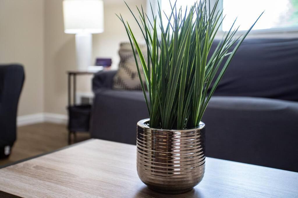 {Quiet Suburban Ranch Hot Tub} Mins Arpt/Rit/Dwnt Appartement Rochester Buitenkant foto